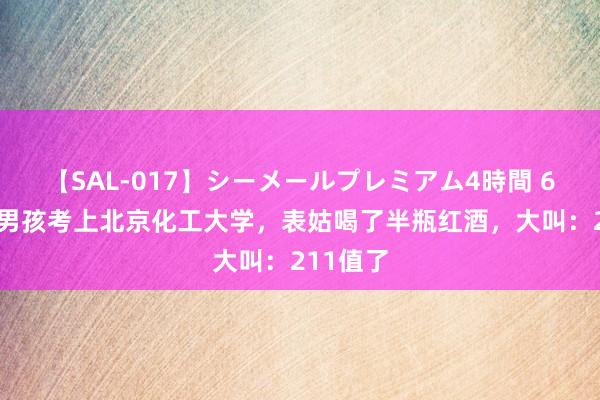 【SAL-017】シーメールプレミアム4時間 6 江西一男孩考上北京化工大学，表姑喝了半瓶红酒，大叫：211值了