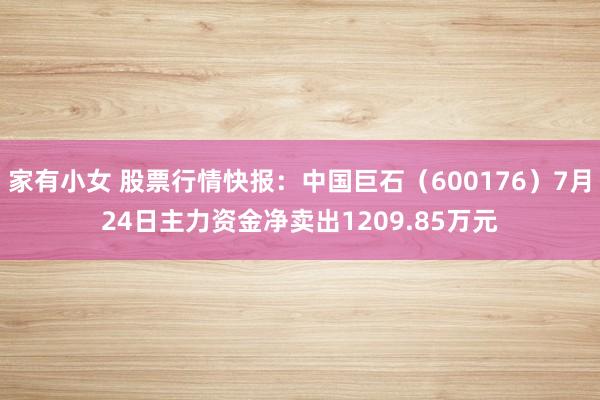 家有小女 股票行情快报：中国巨石（600176）7月24日主力资金净卖出1209.85万元