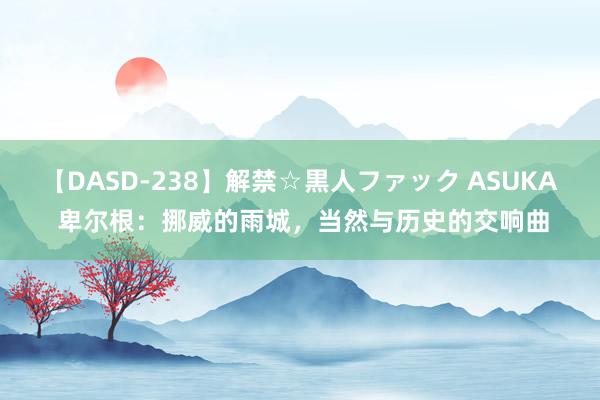 【DASD-238】解禁☆黒人ファック ASUKA 卑尔根：挪威的雨城，当然与历史的交响曲