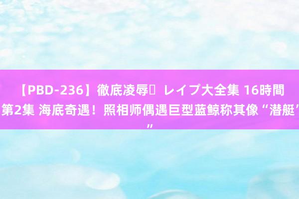 【PBD-236】徹底凌辱・レイプ大全集 16時間 第2集 海底奇遇！照相师偶遇巨型蓝鲸称其像“潜艇”