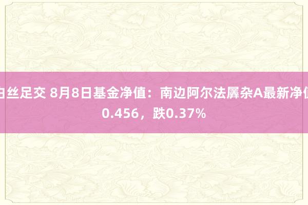 白丝足交 8月8日基金净值：南边阿尔法羼杂A最新净值0.456，跌0.37%