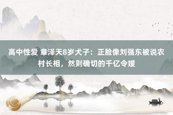 高中性爱 章泽天8岁犬子：正脸像刘强东被说农村长相，然则确切的千亿令嫒