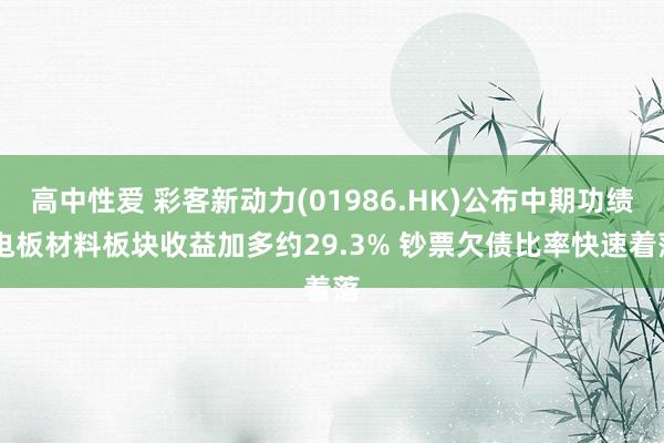 高中性爱 彩客新动力(01986.HK)公布中期功绩 电板材料板块收益加多约29.3% 钞票欠债比率快速着落