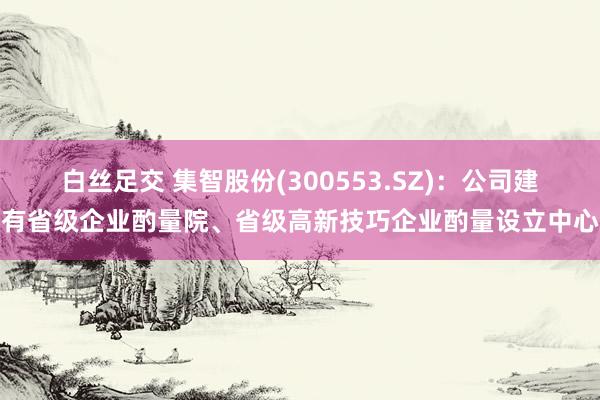 白丝足交 集智股份(300553.SZ)：公司建有省级企业酌量院、省级高新技巧企业酌量设立中心