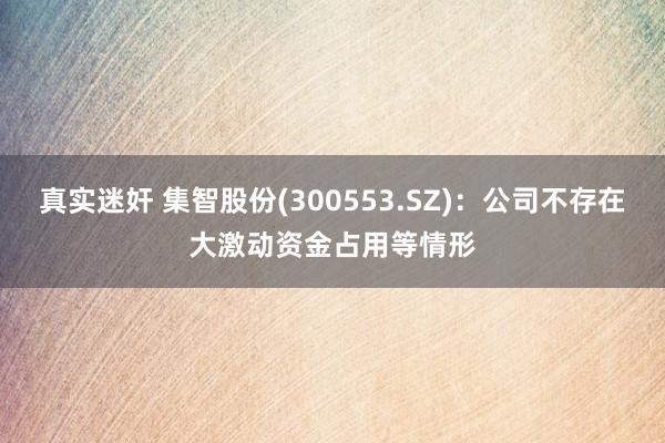 真实迷奸 集智股份(300553.SZ)：公司不存在大激动资金占用等情形