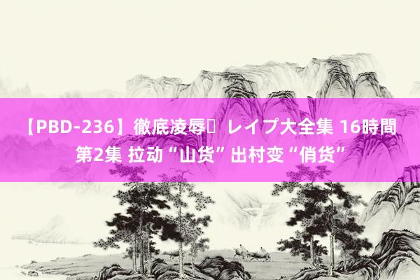 【PBD-236】徹底凌辱・レイプ大全集 16時間 第2集 拉动“山货”出村变“俏货”