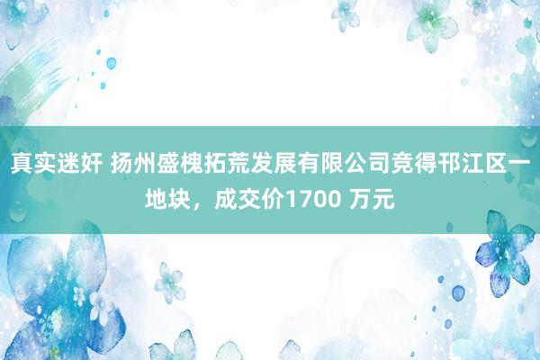 真实迷奸 扬州盛槐拓荒发展有限公司竞得邗江区一地块，成交价1700 万元