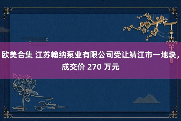 欧美合集 江苏翰纳泵业有限公司受让靖江市一地块，成交价 270 万元