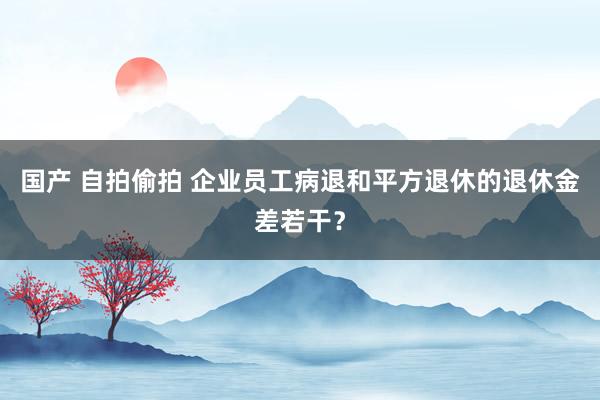 国产 自拍偷拍 企业员工病退和平方退休的退休金差若干？