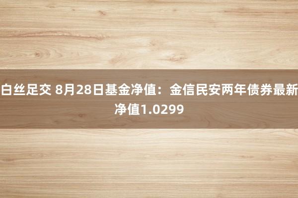 白丝足交 8月28日基金净值：金信民安两年债券最新净值1.0299