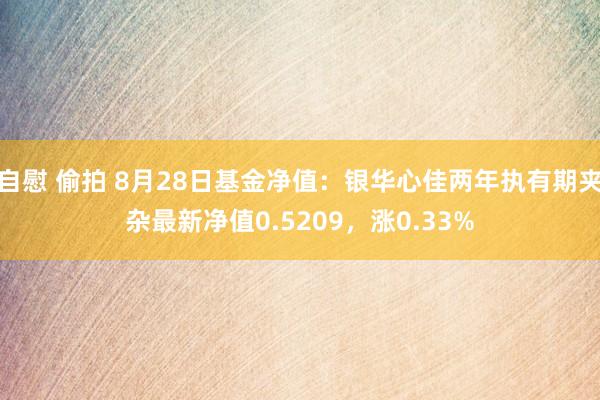 自慰 偷拍 8月28日基金净值：银华心佳两年执有期夹杂最新净值0.5209，涨0.33%