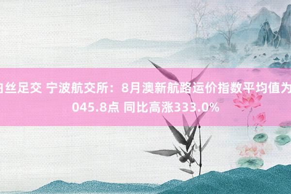 白丝足交 宁波航交所：8月澳新航路运价指数平均值为3045.8点 同比高涨333.0%