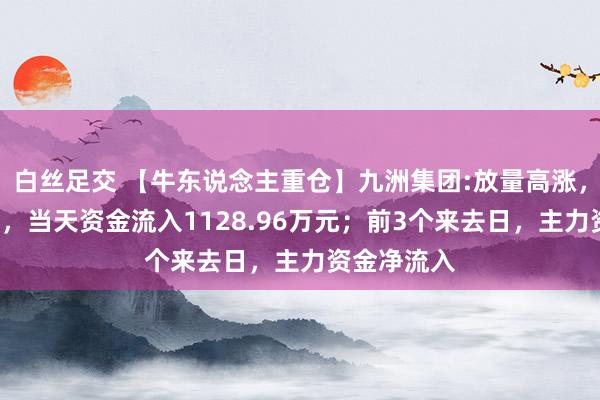 白丝足交 【牛东说念主重仓】九洲集团:放量高涨，量比大于3，当天资金流入1128.96万元；前3个来去日，主力资金净流入