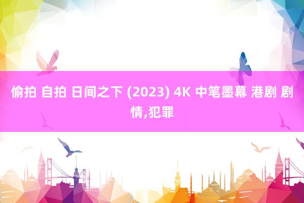 偷拍 自拍 日间之下 (2023) 4K 中笔墨幕 港剧 剧情，犯罪