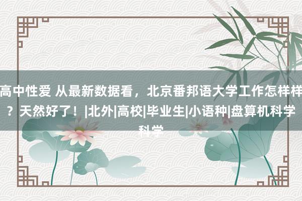 高中性爱 从最新数据看，北京番邦语大学工作怎样样？天然好了！|北外|高校|毕业生|小语种|盘算机科学