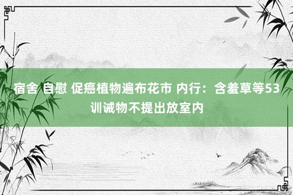 宿舍 自慰 促癌植物遍布花市 内行：含羞草等53训诫物不提出放室内