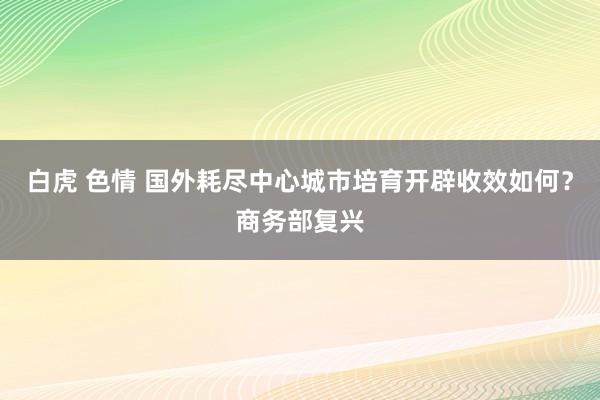 白虎 色情 国外耗尽中心城市培育开辟收效如何？商务部复兴